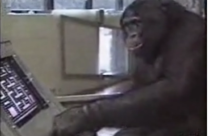 This Chimp Kicks Pac-Man's Ass